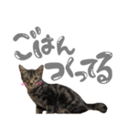 ルイ(文字あり)（個別スタンプ：21）