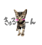 ルイ(文字あり)（個別スタンプ：22）