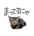 ルイ(文字あり)（個別スタンプ：23）