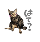 ルイ(文字あり)（個別スタンプ：24）