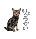 ルイ(文字あり)（個別スタンプ：26）