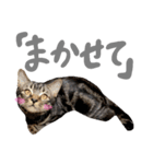 ルイ(文字あり)（個別スタンプ：28）