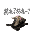 ルイ(文字あり)（個別スタンプ：30）