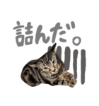 ルイ(文字あり)（個別スタンプ：31）