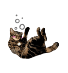 ルイ(文字あり)（個別スタンプ：33）