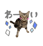 ルイ(文字あり)（個別スタンプ：34）