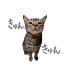 ルイ(文字あり)（個別スタンプ：36）