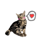 ルイ(文字あり)（個別スタンプ：38）
