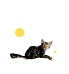 ルイ(文字あり)（個別スタンプ：39）