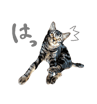 ルイ(文字あり)（個別スタンプ：40）