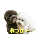 toynicogram（個別スタンプ：2）