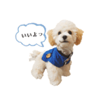 山田ぽち太（個別スタンプ：2）