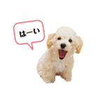 山田ぽち太（個別スタンプ：8）