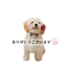 山田ぽち太（個別スタンプ：10）