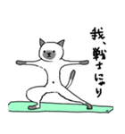 筋トレする猫（個別スタンプ：14）