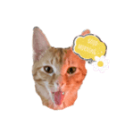 猫ちゃんの日常スタンプ〜茶トラ〜（個別スタンプ：3）