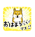 柴犬の使えるあいさつ（個別スタンプ：1）