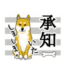 柴犬の使えるあいさつ（個別スタンプ：22）