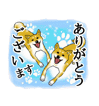 柴犬の使えるあいさつ（個別スタンプ：23）