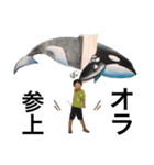 dikn-kids2.5（個別スタンプ：3）