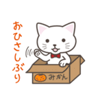 ねこたろ☆日常スタンプ02（個別スタンプ：1）