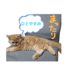 レオ君スタンプ(あいさつ)1（個別スタンプ：5）