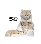 レオ君スタンプ(あいさつ)1（個別スタンプ：8）