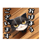 あいさつねこすたんぷ（個別スタンプ：1）