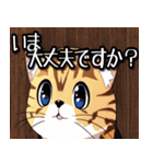 あいさつねこすたんぷ（個別スタンプ：9）