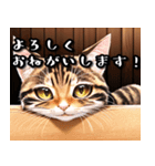 あいさつねこすたんぷ（個別スタンプ：16）