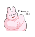 うささんスタンプ3（個別スタンプ：33）