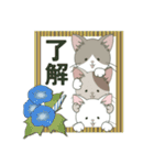 【ねこ組】文字なしde飛び出す【梅雨•夏】（個別スタンプ：13）