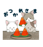 【ねこ組】文字なしde飛び出す【梅雨•夏】（個別スタンプ：14）