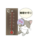 【ねこ組】文字なしde飛び出す【梅雨•夏】（個別スタンプ：15）