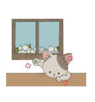 【ねこ組】文字なしde飛び出す【梅雨•夏】（個別スタンプ：19）