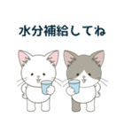 【ねこ組】文字なしde飛び出す【梅雨•夏】（個別スタンプ：20）