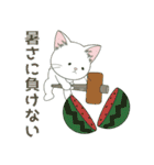 【ねこ組】文字なしde飛び出す【梅雨•夏】（個別スタンプ：22）