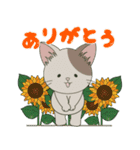 【ねこ組】文字なしde飛び出す【梅雨•夏】（個別スタンプ：23）