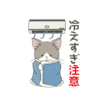 【ねこ組】文字なしde飛び出す【梅雨•夏】（個別スタンプ：24）