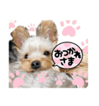 おにおんと時々ぽてと（個別スタンプ：3）