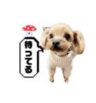 おにおんと時々ぽてと（個別スタンプ：6）