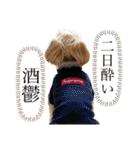 おにおんと時々ぽてと（個別スタンプ：9）