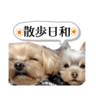 おにおんと時々ぽてと（個別スタンプ：15）