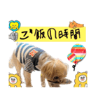 おにおんと時々ぽてと（個別スタンプ：16）
