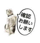 しま男敬語スタンプ（個別スタンプ：22）