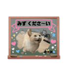 のりお＆あさりV2（個別スタンプ：4）