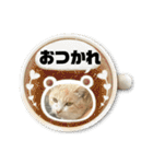 のりお＆あさりV2（個別スタンプ：6）