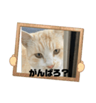 のりお＆あさりV2（個別スタンプ：9）