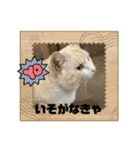 のりお＆あさりV2（個別スタンプ：10）