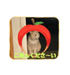 のりお＆あさりV2（個別スタンプ：12）